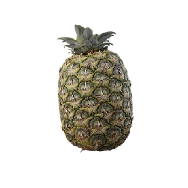 Pineapple - دانلود مدل سه بعدی آناناس - آبجکت سه بعدی آناناس - دانلود آبجکت آناناس - دانلود مدل سه بعدی fbx - دانلود مدل سه بعدی obj -Pineapple 3d model - Pineapple 3d Object - Pineapple OBJ 3d models - Pineapple FBX 3d Models - میوه - Fruit 